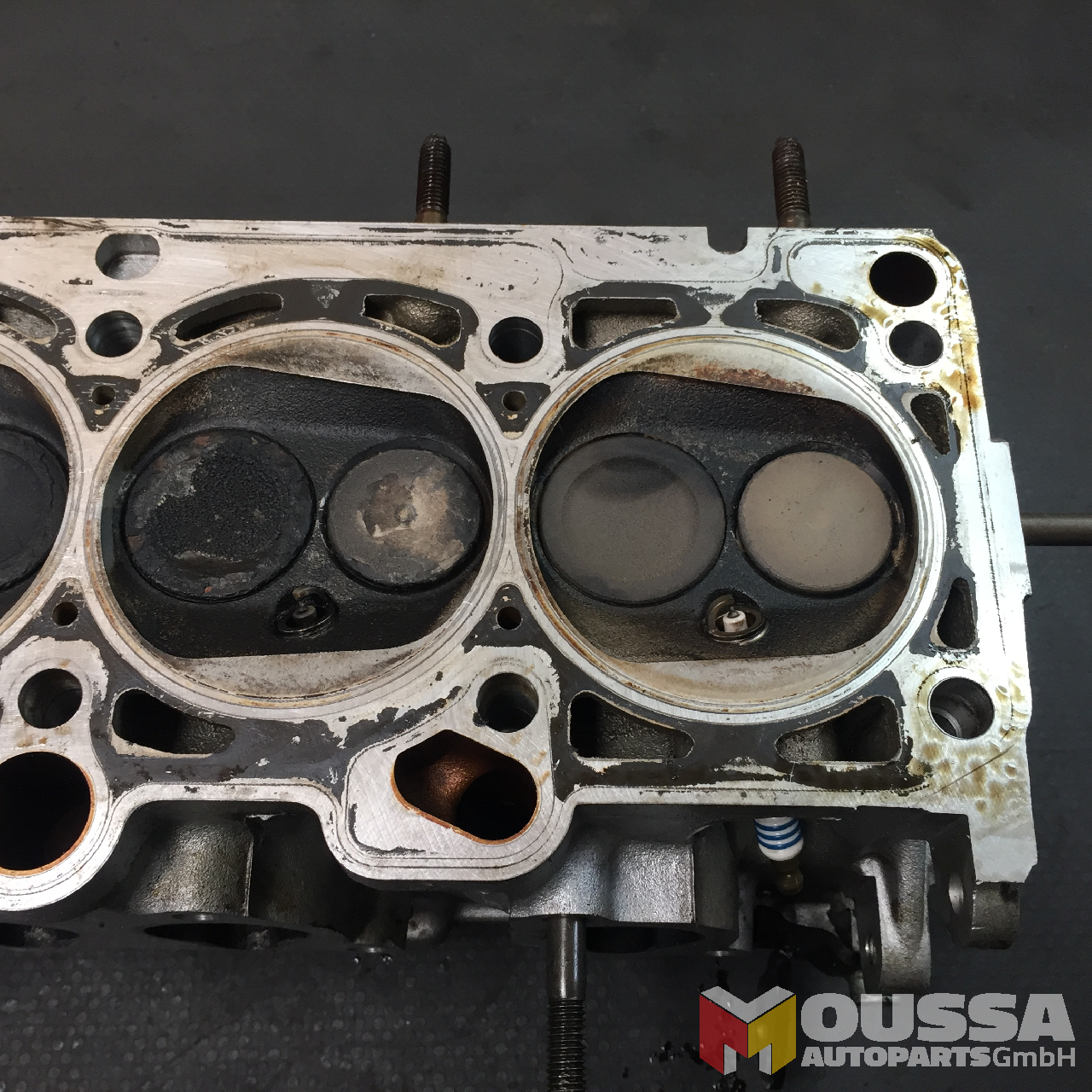 MOUSSA-AUTOPARTS-643e40a0a2f48.jpg