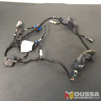 Door wire harness 