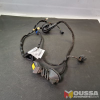 Cable set door wire harness