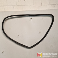 Door seal weatherstrip