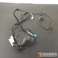 Door wire harness door lock