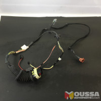 Door cable 