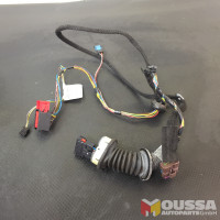 Door cable