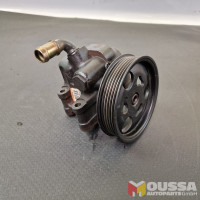 Power steering pump with pulley