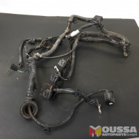 Engine wiring loom harness