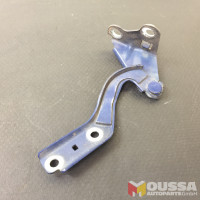 Bonnet hat hinge hood hinges