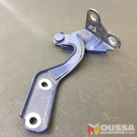 Bonnet hinges bonnet strut