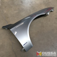 Fender wing panel