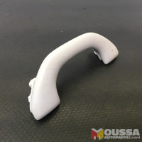 Roof grab handle