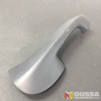 Door handle grab handle