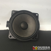 Door speaker subwoofer