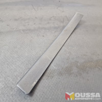 Door sill trim entry strip