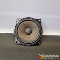 Speaker tweeter door speaker