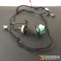 Door electric wire