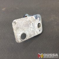 Door hinge plate