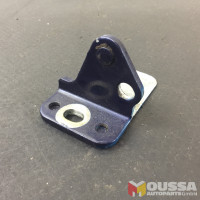 Rear Door Hinge