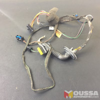 Door wiring harness