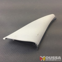 Side wing mirror trim