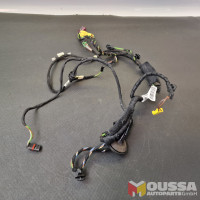 Door harness wiring