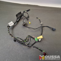 Door harness wiring