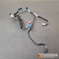 Door wiring harness