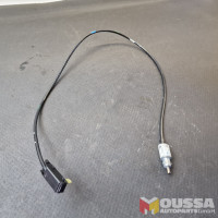 Ignition switch cable