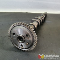 Exhaust camshaft +gear