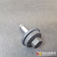 Oil filter securing bolt cap