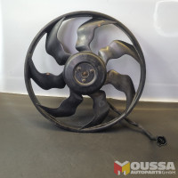 Radiator fan motor