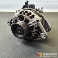 Alternator generator