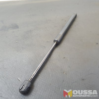 Tailgate gas strut