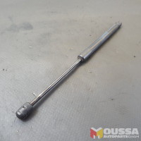 Tailgate gas strut