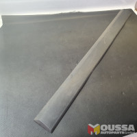 Door molding strip trim