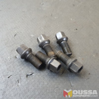Wheel rim screws bolts