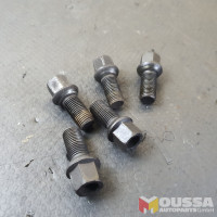 Wheel rim screws bolts