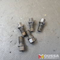 Wheel rim screws bolts