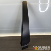 Door b-pillar trim cover