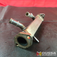 Exhaust cooler AGR valve