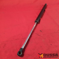 Tailgate gas pressure strut