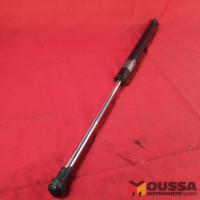 Tailgate gas pressure strut