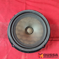 Speaker door speaker