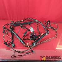 Body wiring harness