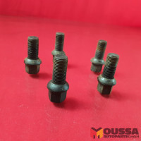 Wheel nut and bolt