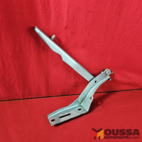 Bonnet hinge strut