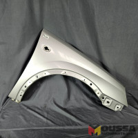 Fender wing assy