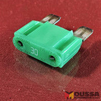 Fuse 30A