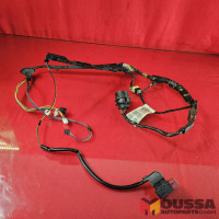 Door electric wiring loom