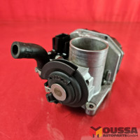 Throttle body valve