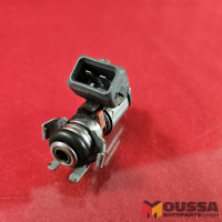 Injection nozzle injector