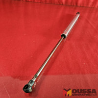 Bonnet hinge gas damper